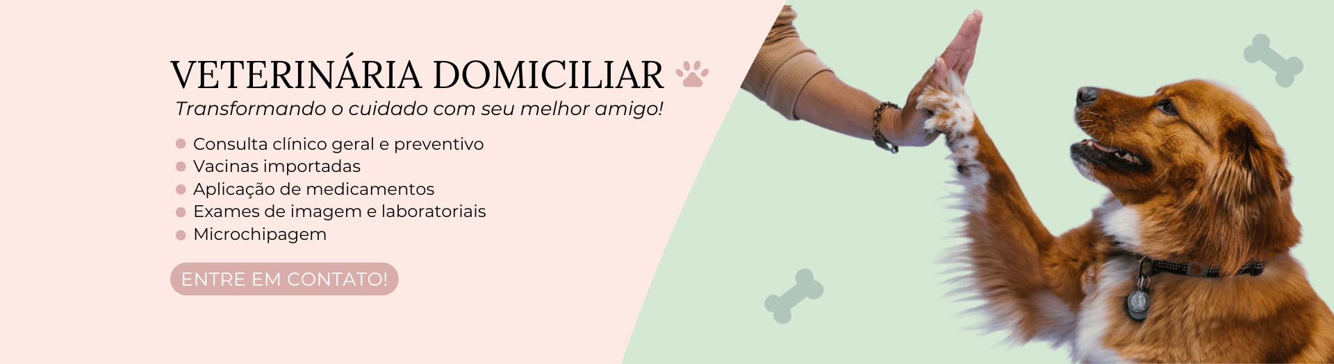 veterinaria a domicilio bh dayer e pets banner 2