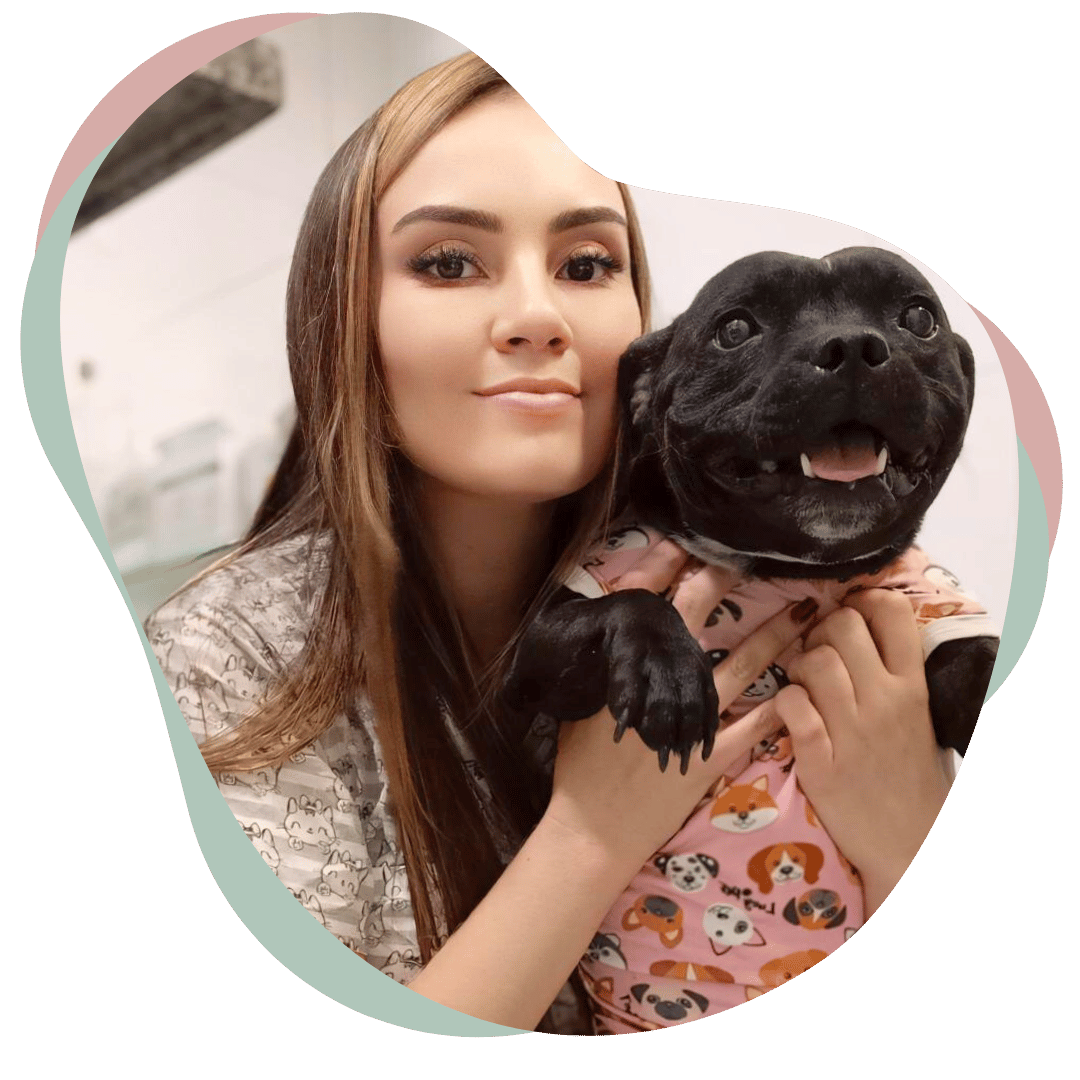 veterinario em casa bh bruna dayer