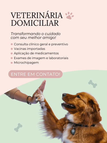veterinaria a domicilio bh dayer e pets 3