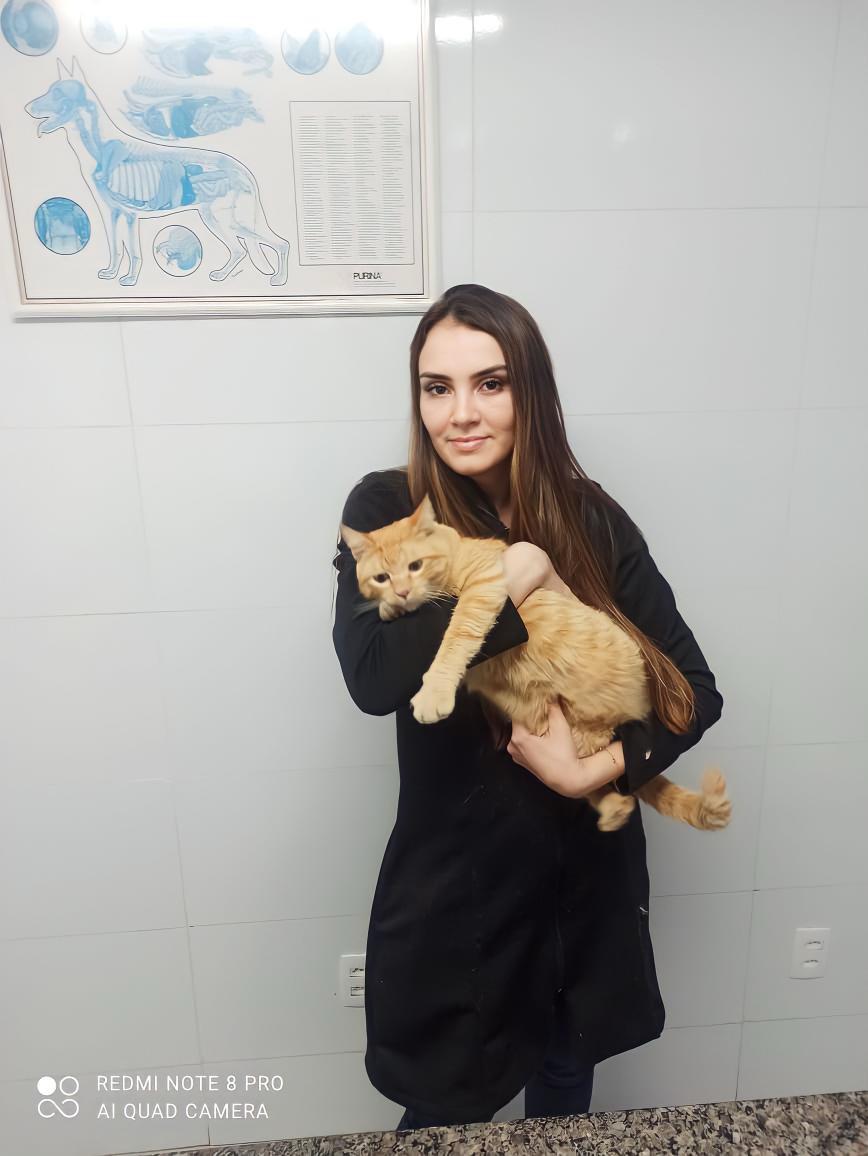 veterinaria domiciliar bh bruna dayer foto (11)