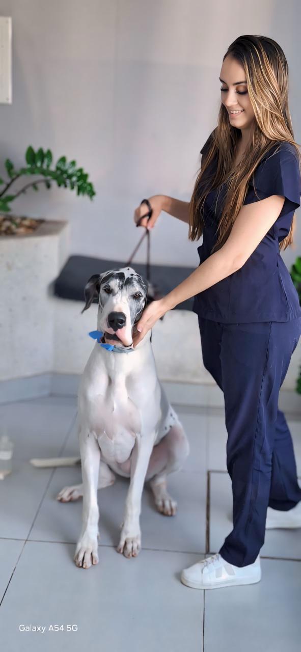 veterinaria domiciliar bh bruna dayer foto (16)