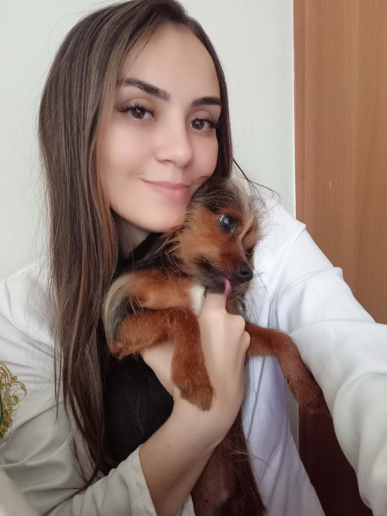 veterinaria domiciliar bh bruna dayer foto (2)