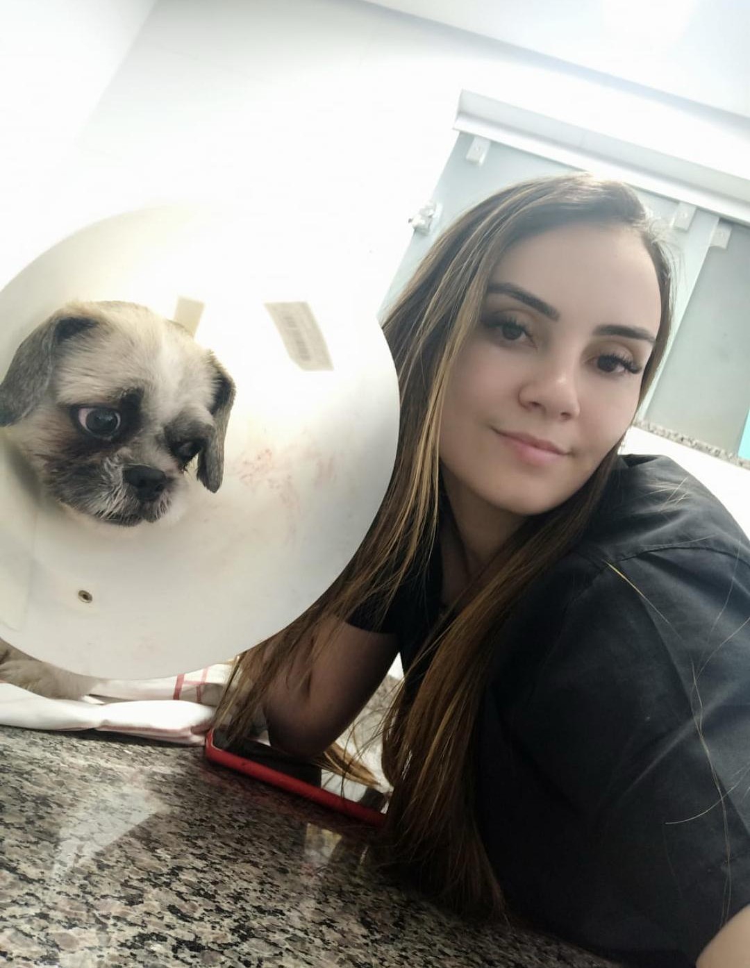 veterinaria domiciliar bh bruna dayer foto (6)