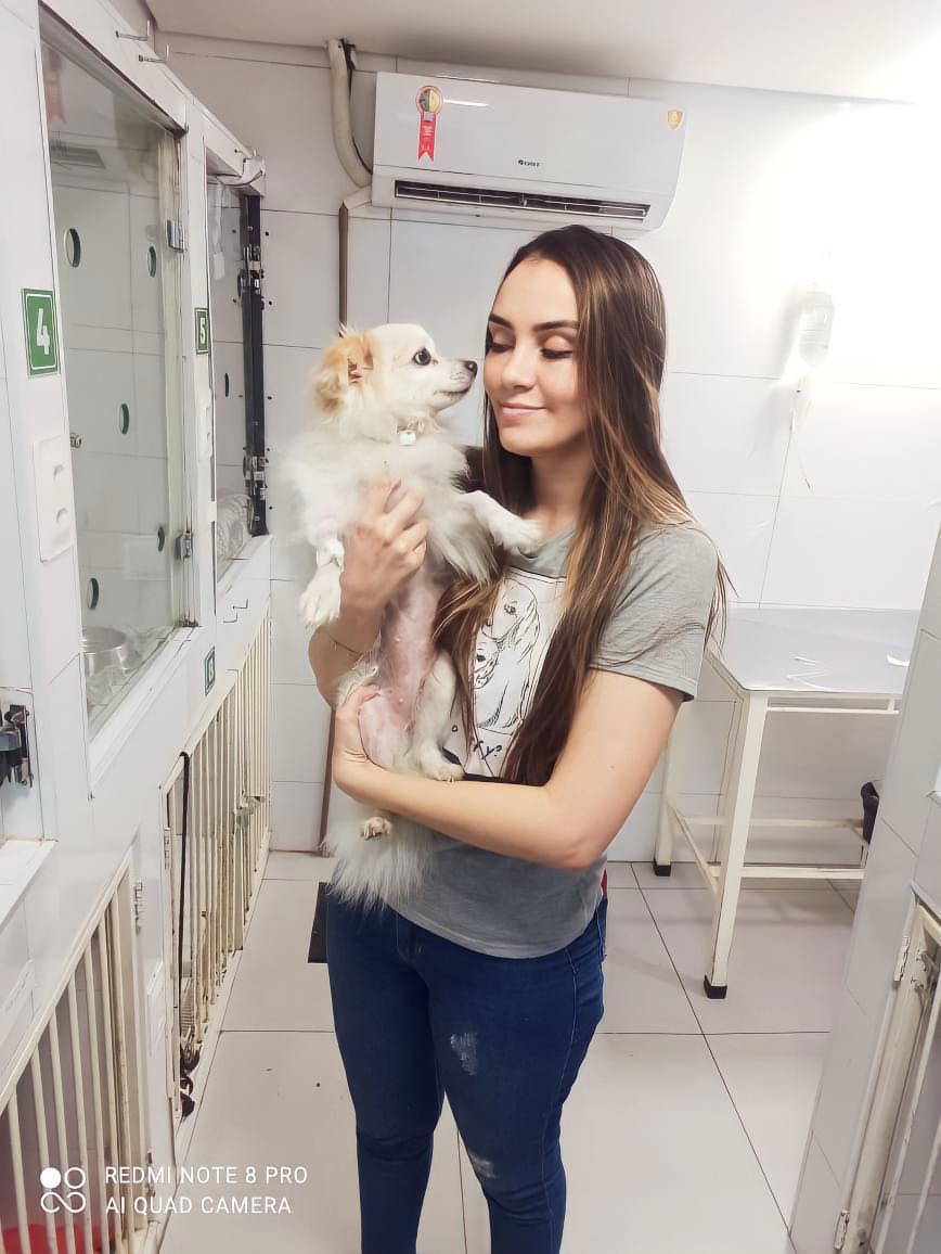 veterinaria domiciliar bh bruna dayer foto (7)